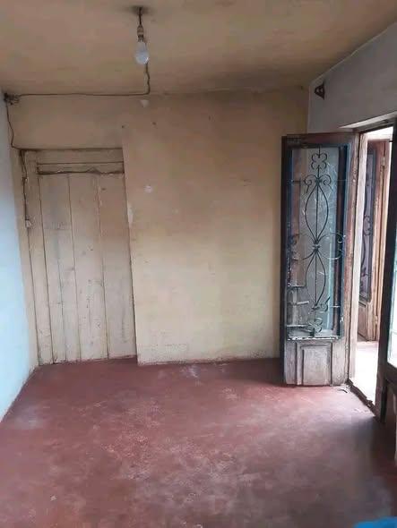 Maison à louer — Ankatso - photo 4