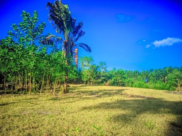 Terrain 225 m² à vendre — Toamasina - photo 1