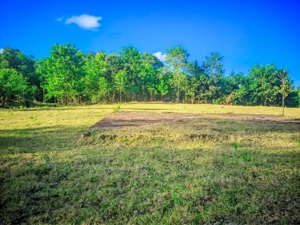Terrain 225 m² à vendre — Toamasina - photo 2