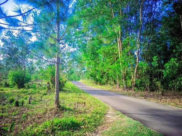Terrain 225 m² à vendre — Toamasina - photo 3