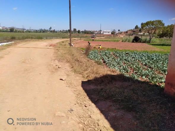 Terre agricole 40 000 m² à vendre — Ambohimanambola - photo 2