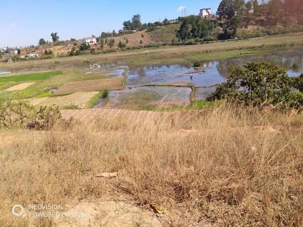 Terre agricole 40 000 m² à vendre — Ambohimanambola - photo 3