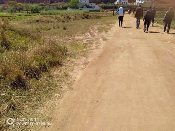 Terre agricole 40 000 m² à vendre — Ambohimanambola - photo 4