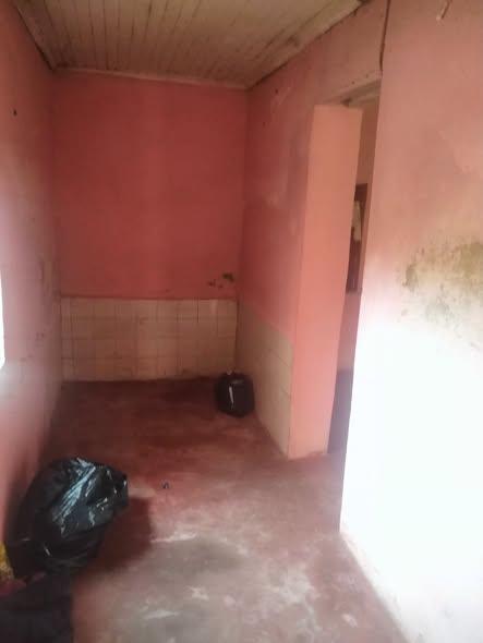 Trano Ahofa 1 ch. à louer — Andavamamba - photo 2