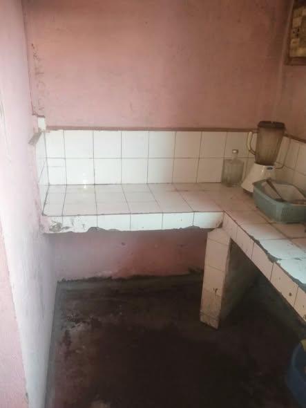 Trano Ahofa 1 ch. à louer — Andavamamba - photo 3