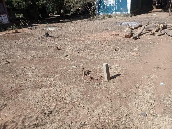 Terrain 150 m² à vendre — Mahajanga - photo 1