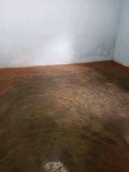 Trano Ahofa 1 ch. à louer — Andohanimandroseza - photo 2