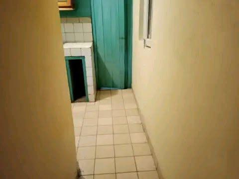 Trano Ahofa 1 ch. à louer — Manakambahiny - photo 3