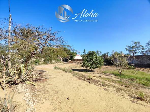Terrain 3 496 m² à vendre — Toliara - photo 3