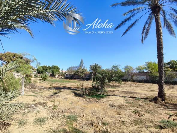 Terrain 3 496 m² à vendre — Toliara - photo 5