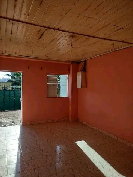 Maison 1 ch. à louer — Ampanotokana - photo 3