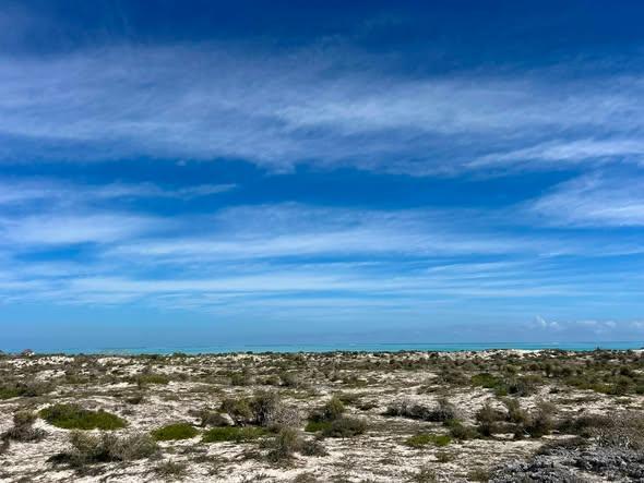 Terrain 30 000 m² à vendre — Toliara - photo 4