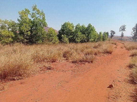 Terre agricole 230 000 m² à vendre — Tsiroanomandidy - photo 4