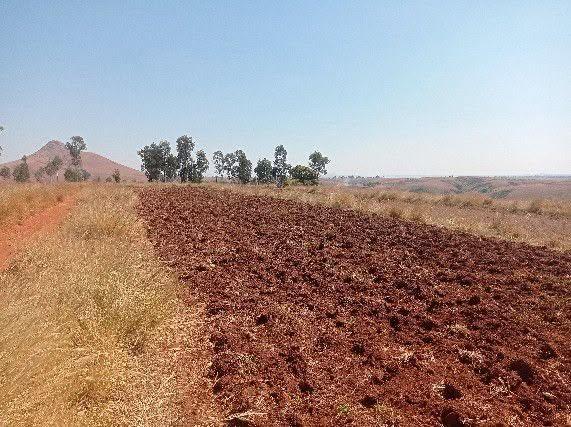 Terre agricole 230 000 m² à vendre — Tsiroanomandidy - photo 5