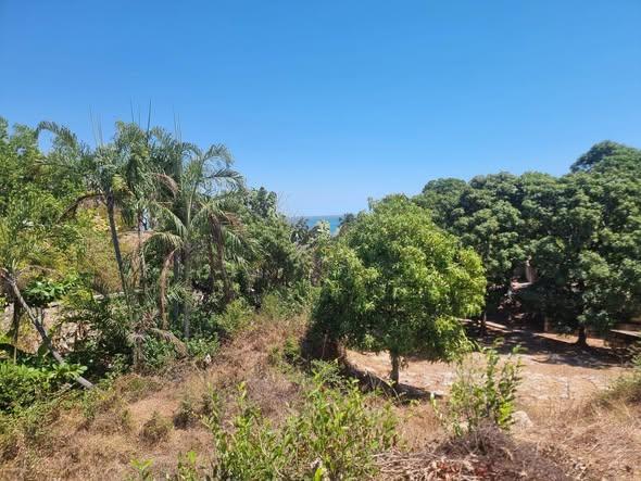 Terrain à vendre — Mahajanga - photo 1