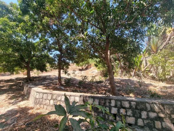 Terrain à vendre — Mahajanga - photo 4
