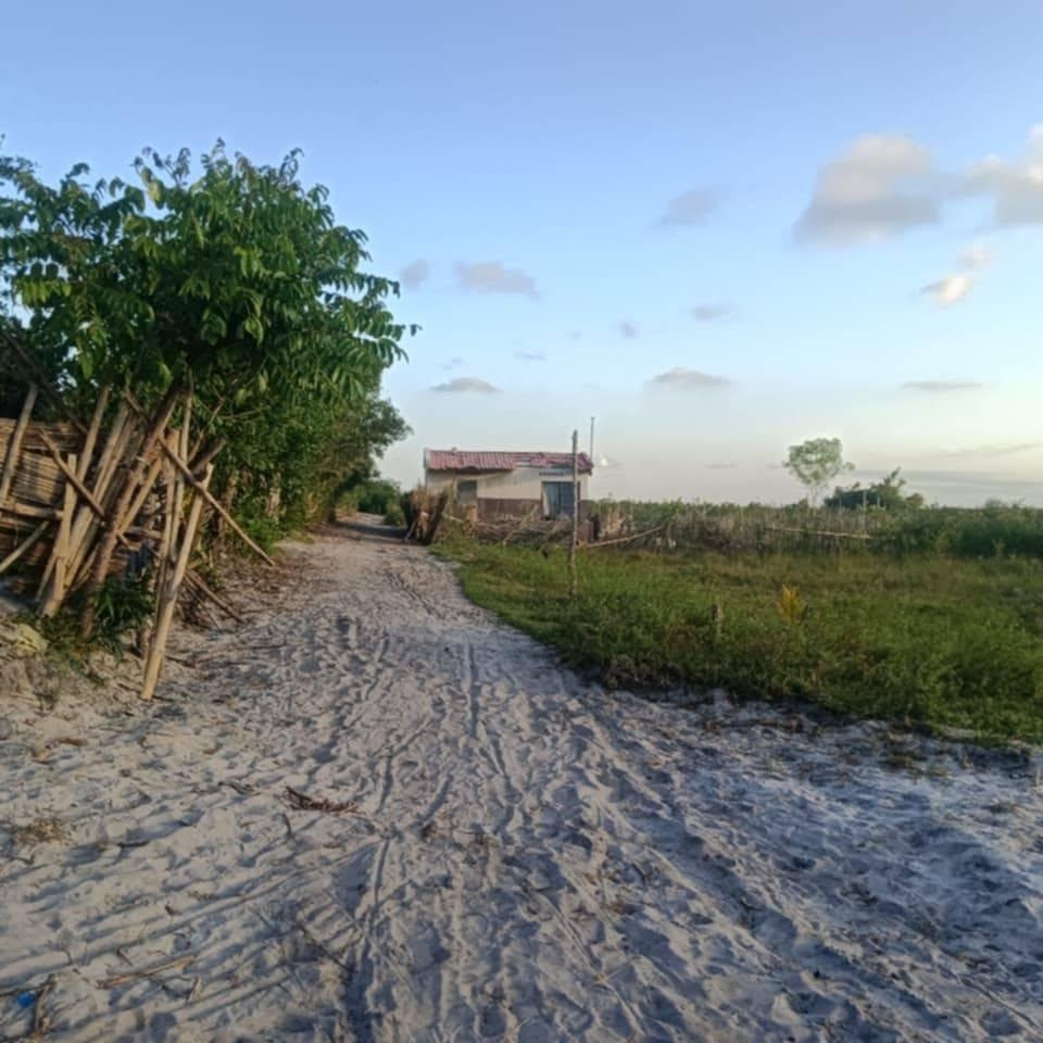 Lots de terrain titrés 300 m² — Ambalamanasy, Toamasina - photo 2