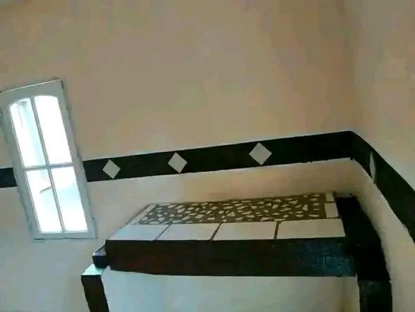 Trano Ahofa à louer — Behenjy - photo 2
