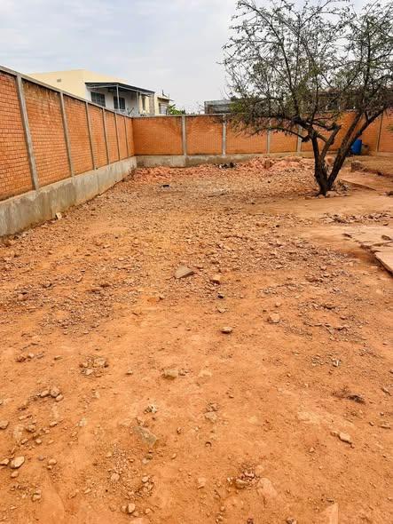 Entrepôt à vendre — Ambohimanambola - photo 2