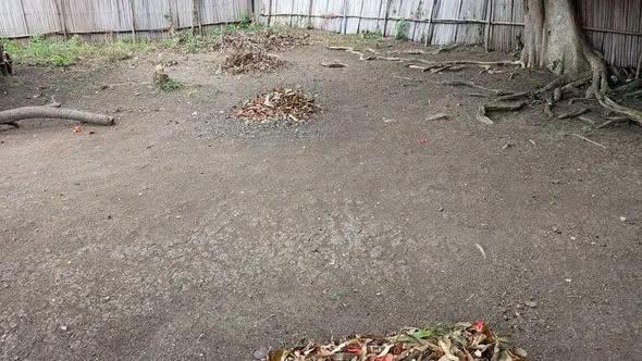 Terrain 400 m² à vendre — Nosy Be - photo 3