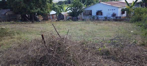 Terrain 500 m² à vendre — Nosy Be - photo 1