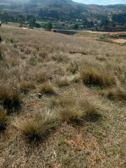 Terrain 300 m² à vendre — Mahazo - photo 3