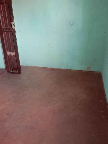 Maison 3 ch. à louer — 67ha - photo 3