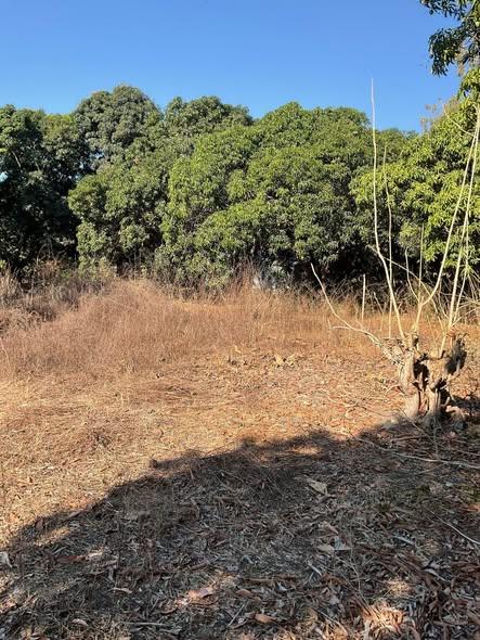 Terrain 7 000 m² à vendre — Mahajanga - photo 3