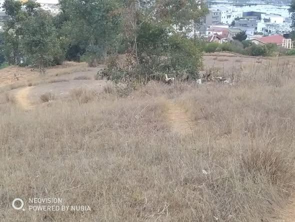 Terrain 1 400 m² à vendre — Avaratra - photo 2