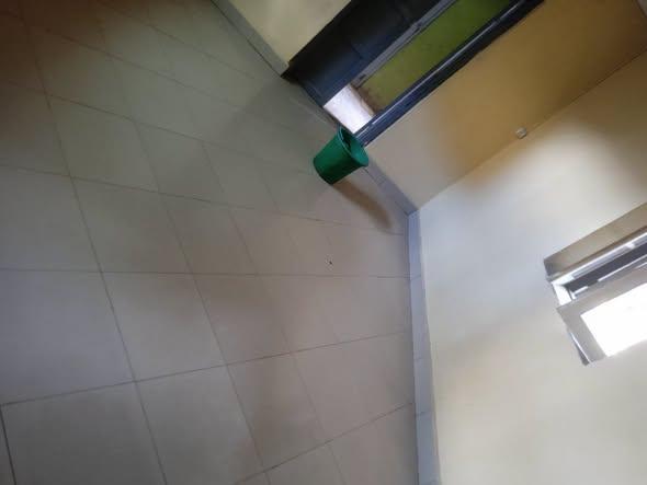 Trano Ahofa 1 ch. à louer — Manakambahiny - photo 2