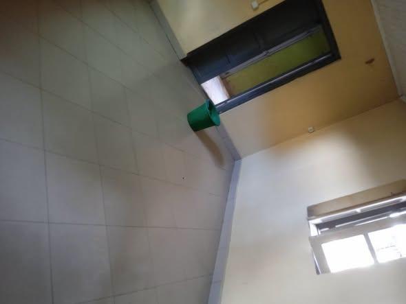 Trano Ahofa 1 ch. à louer — Manakambahiny - photo 3