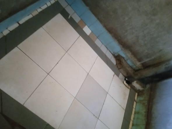 Trano Ahofa 1 ch. à louer — Manakambahiny - photo 5