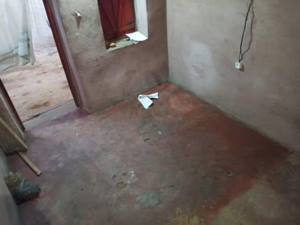 Trano Ahofa 1 ch. à louer — Ambohibao - photo 2