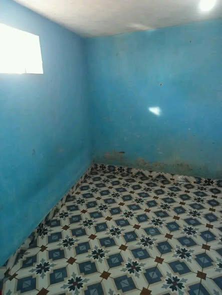 Trano Ahofa à louer — Ankadindramamy - photo 2
