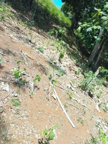 Terrain à vendre — Nosy Be