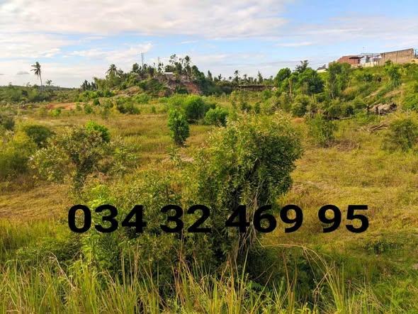 Entrepôt à vendre — Toamasina - photo 4