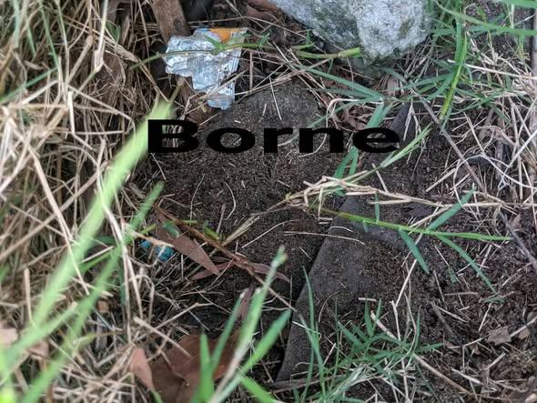 Entrepôt à vendre — Toamasina - photo 5