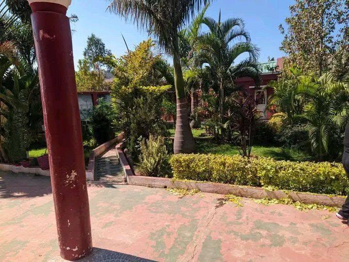 Location · Villa basse 3 chambres avec jardin · Iavoloha, Antananarivo - photo 2