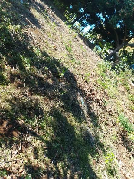 Terrain à vendre — Nosy Be - photo 3