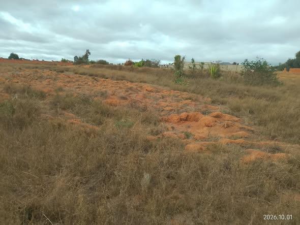 Terrain 300 m² à vendre — Ambohimangakely - photo 3