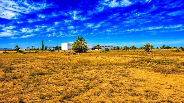 Terrain 10 000 m² à vendre — Toliara - photo 2