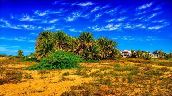 Terrain 10 000 m² à vendre — Toliara - photo 3