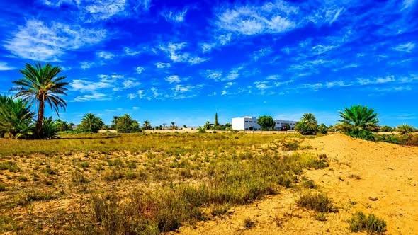 Terrain 10 000 m² à vendre — Toliara - photo 4