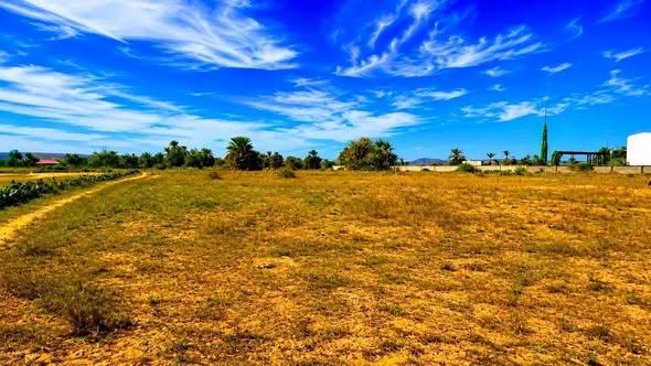 Terrain 10 000 m² à vendre — Toliara - photo 5
