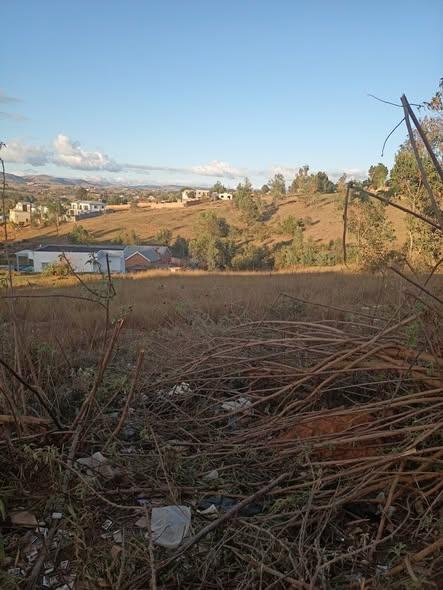 Terrain 3 000 m² à vendre — Ilafy - photo 3