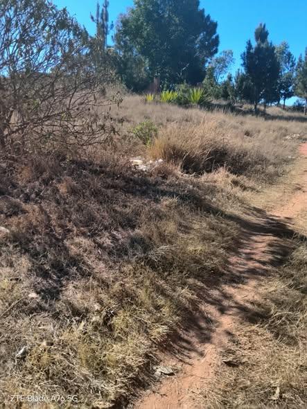 Terrain 30 ares à vendre — Ambohibao · 120 000 Ar/m² - photo 5