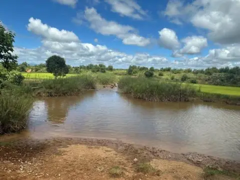Terrain 4 000 000 m² à vendre… — 10 000 000 000 Ar | Fonenako