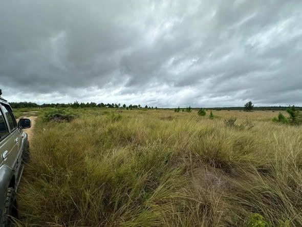 Terrain 4 000 000 m² à vendre — Moramanga - photo 3