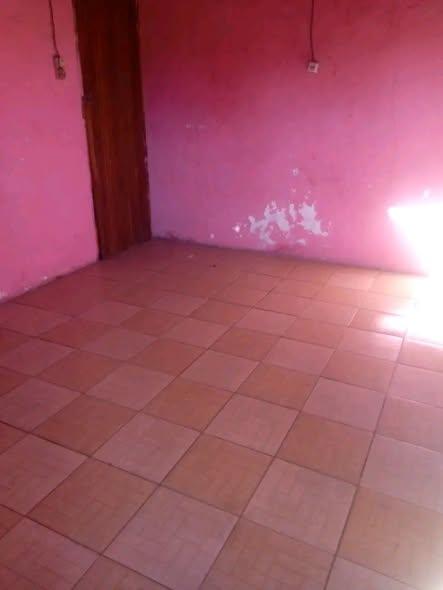 Trano Ahofa 1 ch. à louer — Mangarivotra - photo 1
