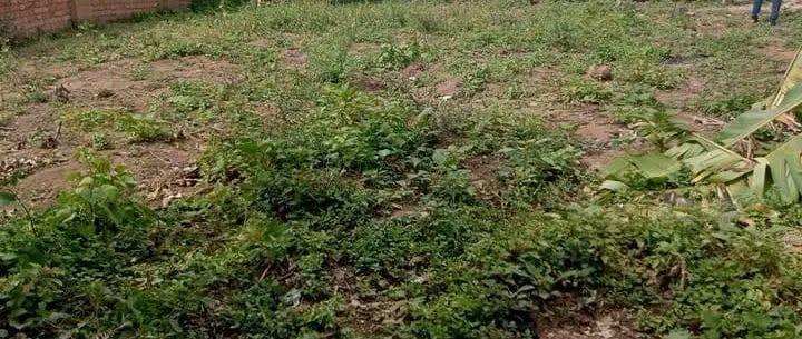 Terrain 350 m² à vendre — Antehiroka - photo 1